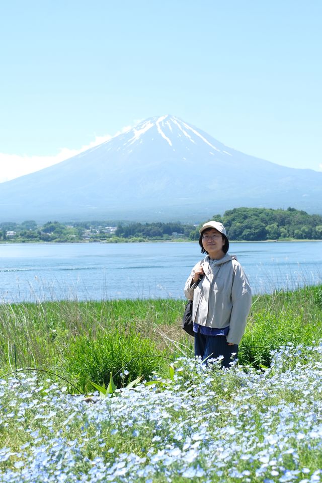 日本｜河口湖 天氣晴