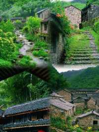 無人擠迫，畀縉雲呢片寶藏地滿分