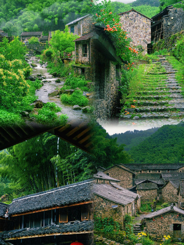 無人擠迫，畀縉雲呢片寶藏地滿分