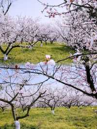 夏日消暑指南：黃昏去濕地公園追一場橘子味日落啦！