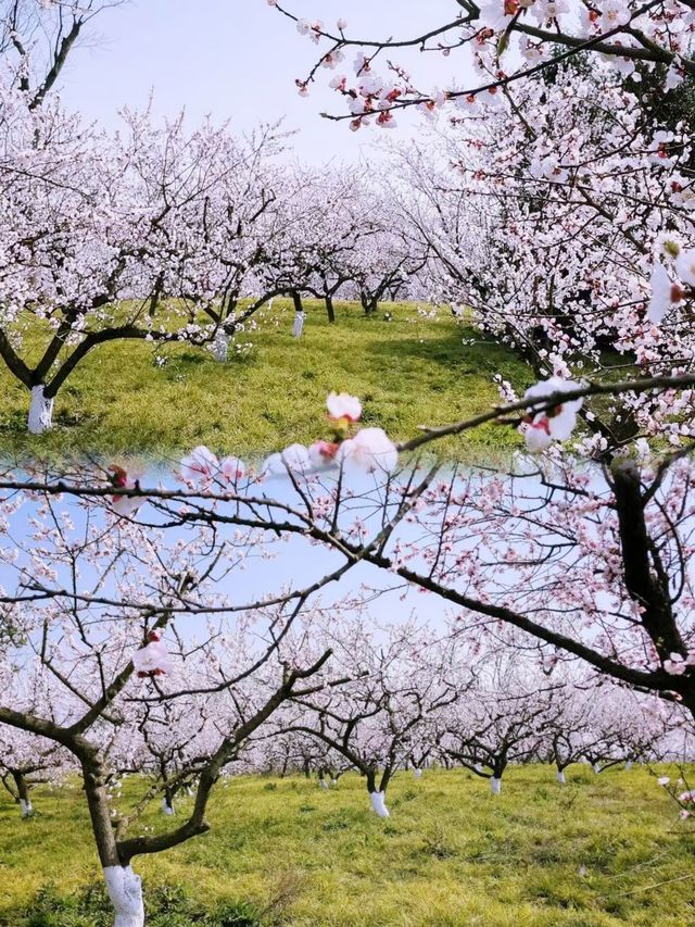夏日消暑指南：黃昏去濕地公園追一場橘子味日落啦！