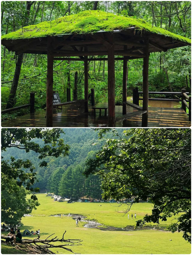 伊春真係幾好，但6月就唔建議去喇，因為…