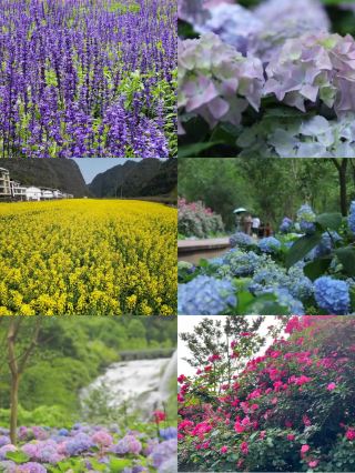 Guizhou Changshun Shenquan Valley | Super Detailed Ctrip Guide Here