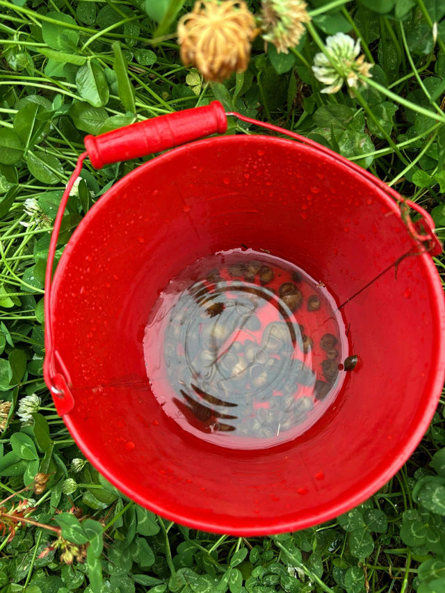 鄭州西郊免費嘅遊樂場玩水地，帶小朋友去超正