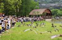 武漢野生動物園王國