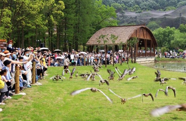 武漢野生動物園王國