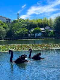 南京高鐵直達 兩日一夜嘅銅陵永泉小鎮