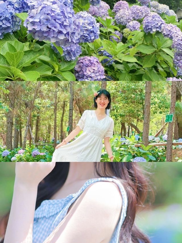 探秘乾隆鍾情嘅揚州，六月靚到犯規