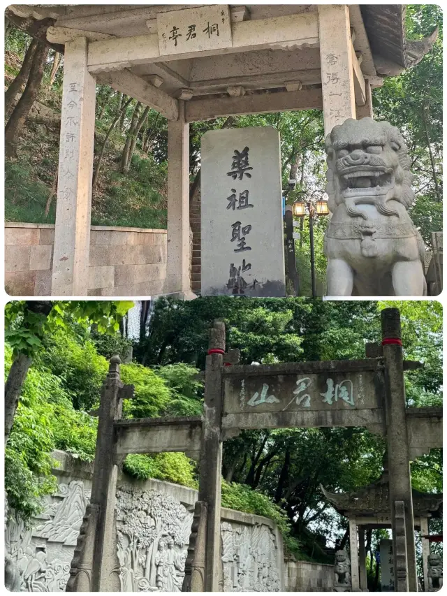 동군산｜신선한 기운이 감도는 강남의 약초 성지