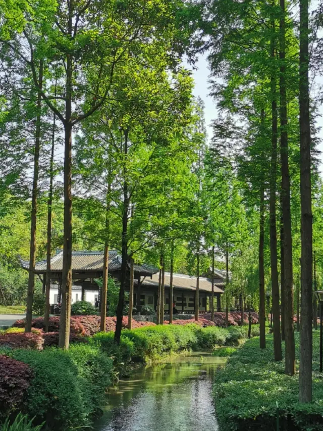 2-Day Itinerary Around Jinjiang Wuhouci Dashidong Road