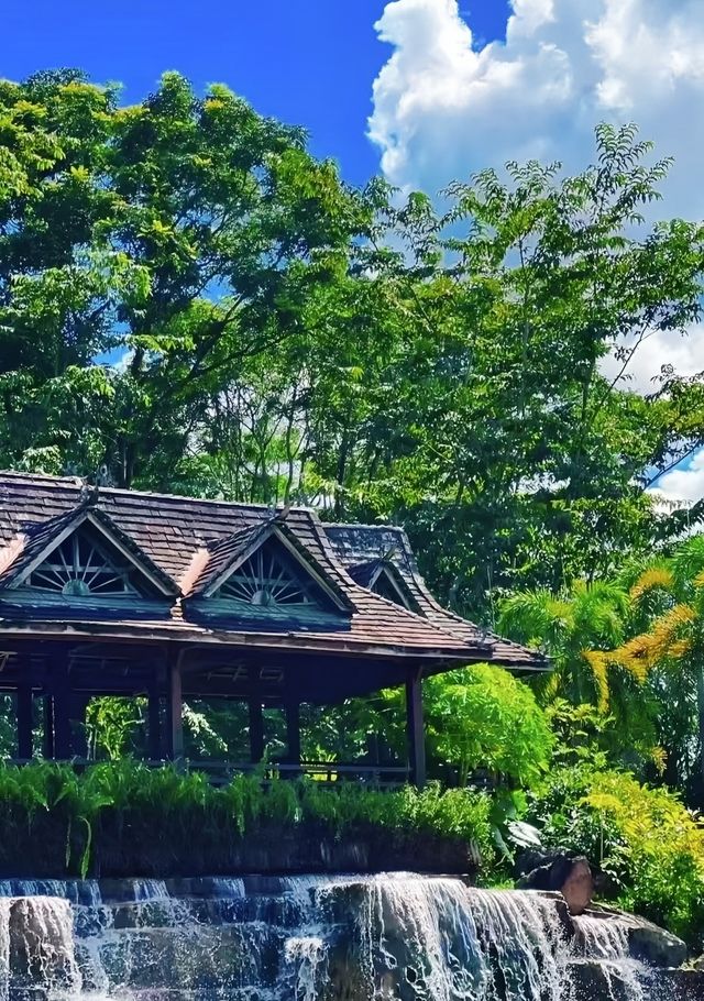 探秘版納中科院植物園：熱帶植物的奇幻王國