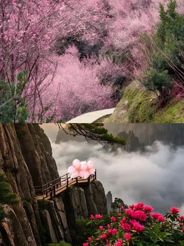 人均300蚊玩轉黃山！本地人偷偷話你知嘅窮遊秘笈