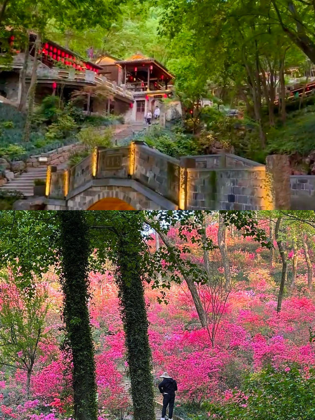 週末逃離城市｜用銅錢兩日一夜低預算全攻略