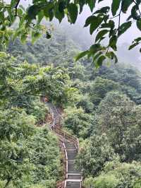 峨眉山避坑指南｜本地人私藏2日精華路線