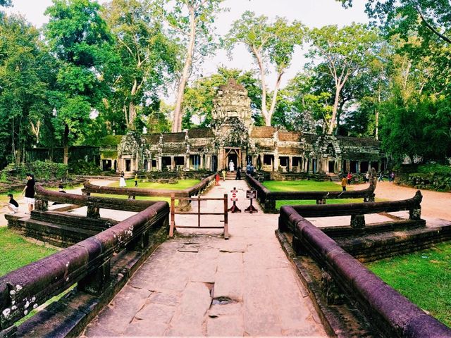 Ta Prohm: The Enigmatic Temple Embraced by Nature