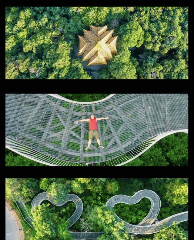 雲南人骨子裡的浪漫| 愛心步道