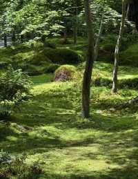 京都嵐山七月遊熱門路線分享