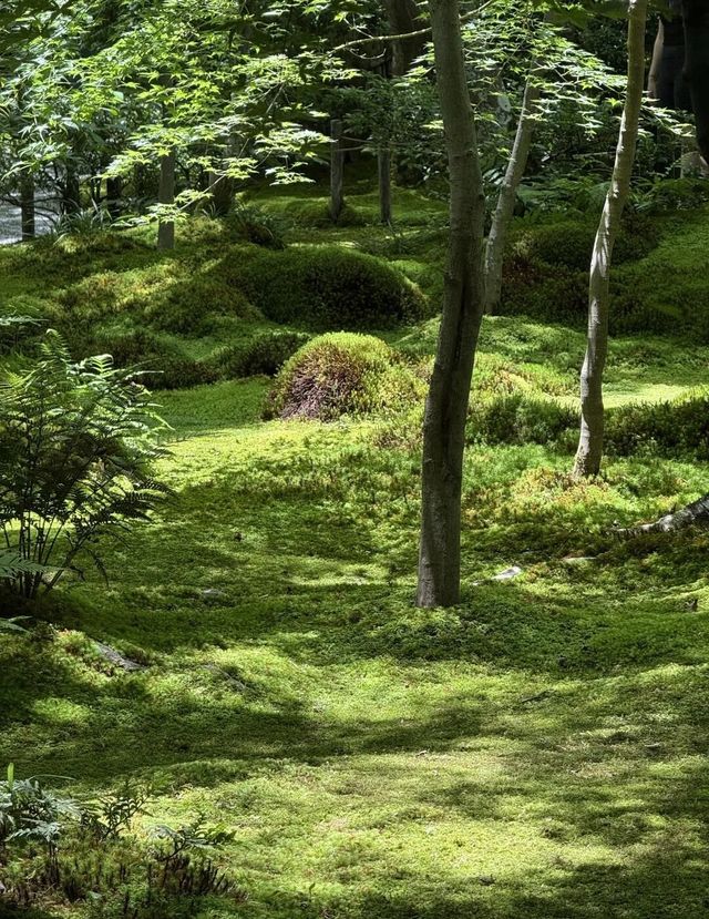 京都嵐山七月遊熱門路線分享