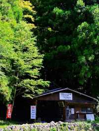 **【隱世桃源！大阪奈良「洞川溫泉」泡湯賞楓秘境】**  