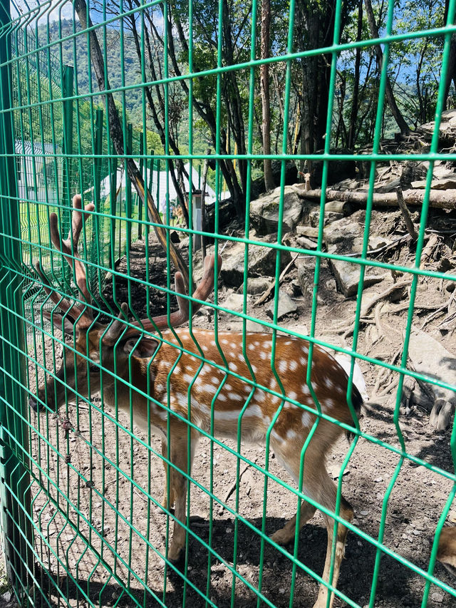 探索湖北秘境自駕路線