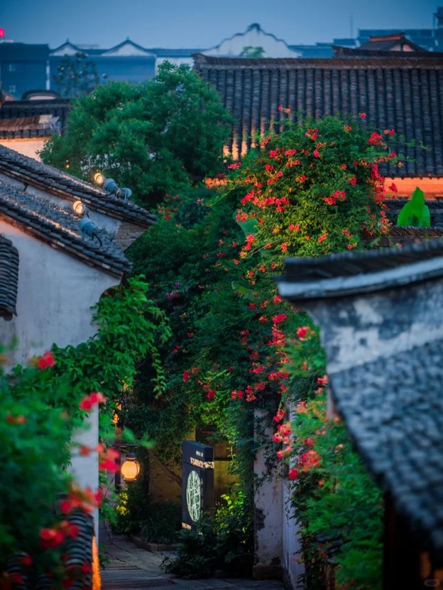 抓住夏天尾巴，與凌霄共赴水尚生活之約！