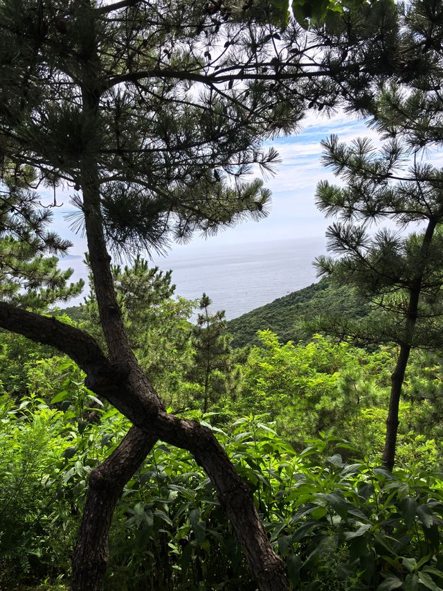 海之韻公園 棒棰島 環境超級好