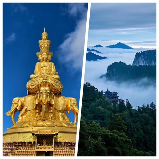峨眉山超美,但真心不建議8月去,因為........... 峨眉山超美,但真心不建議8月去,因為...........