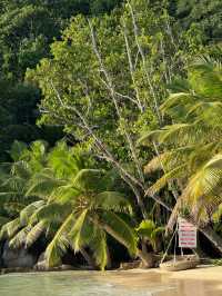 Unforgettable Experience at Constance Lemuria