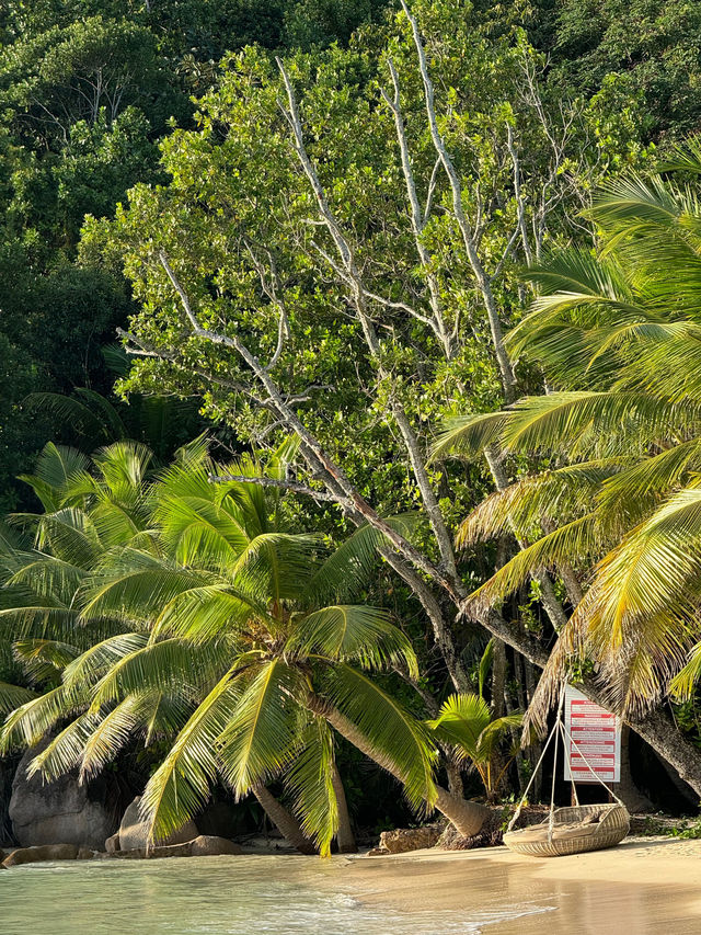 Unforgettable Experience at Constance Lemuria