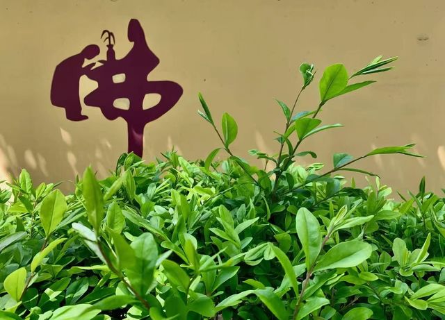 瀋陽印象：奢居與古寺的時光影像