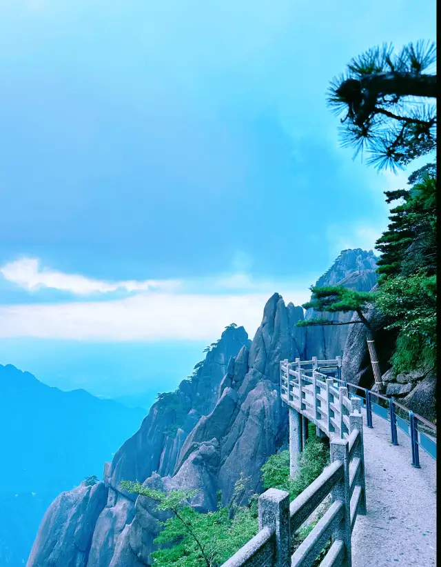 Huangshan Lazy Guide｜Up from the Back Mountain, Down from the Front Mountain! Beginner-Friendly Route to See All the Highlights Without Getting Tired