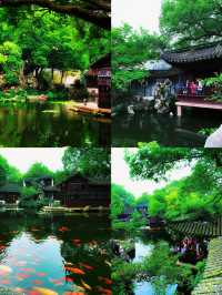 同里古鎮慢遊全攻略|退思園聽雨,三橋踏月,一鍵收藏!
