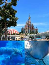 福建人嘴真嚴迄今為止最愛的海上樂園出現