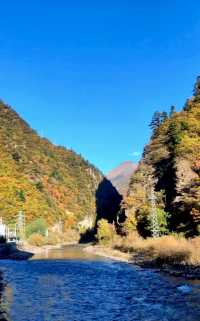 黑水縣奶子溝秋日彩林