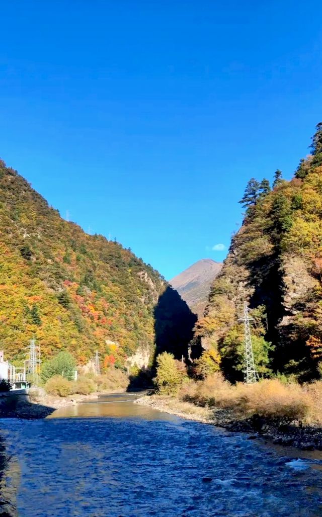 黑水縣奶子溝秋日彩林