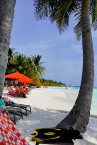 Outstanding Hospitality at Oblu