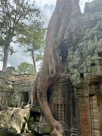 Incredible Temples, Be Prepared to Stay Hydrated