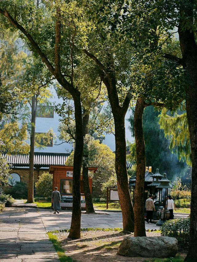 這下誰還分得清是京都還是台州!台州溫嶺冠山寺美出圈 這下誰還分得清是京都還是台州!台州溫嶺冠山寺美出圈
