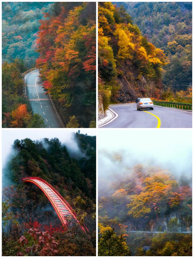 去了才知道！神農架的層林盡染有多震撼？
