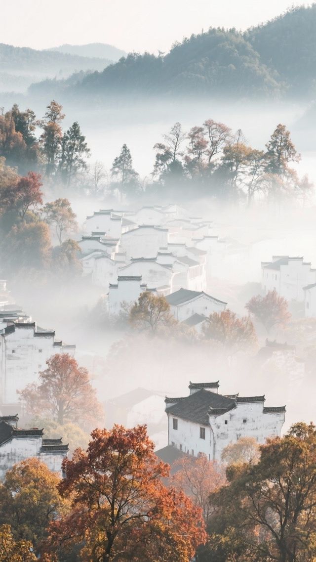婺源~水墨畫進行曲