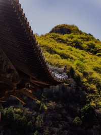 關閉近半個月的青蓮寺，終於恢復開放