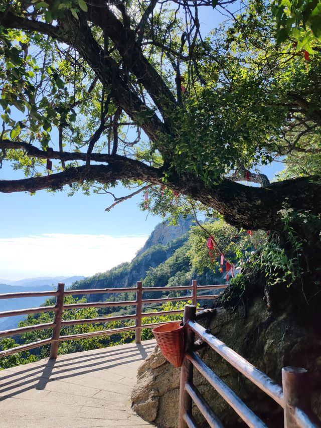 老君山問道
