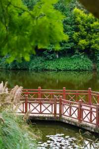 樂山必打卡綠心公園