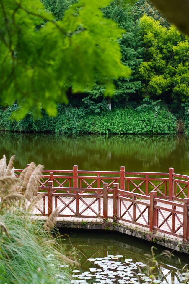 樂山必打卡綠心公園