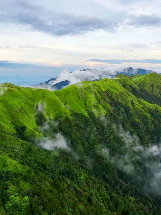 雲端漫步日記｜在武功山被綠色海洋治癒的瞬間