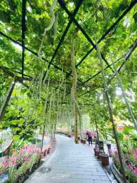 Enjoy and relax your day in Qingxiu mountain Nanning