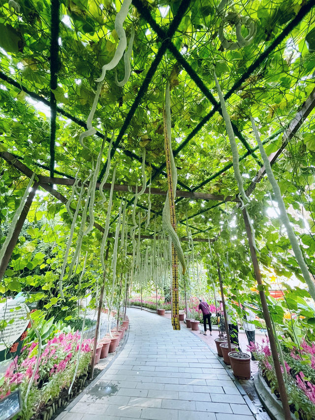 Enjoy and relax your day in Qingxiu mountain Nanning