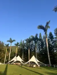 新發現！這台車才是旅行終極搭子！