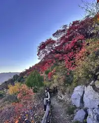 接下來太原秋季的美，都藏在這7處秘境裡！