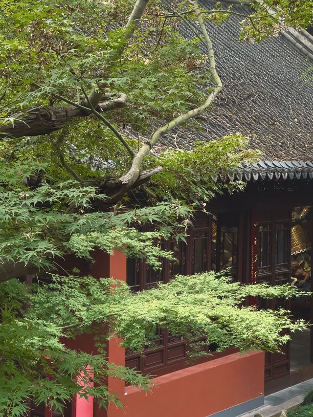南京人都捨不得分享的小眾寶藏地